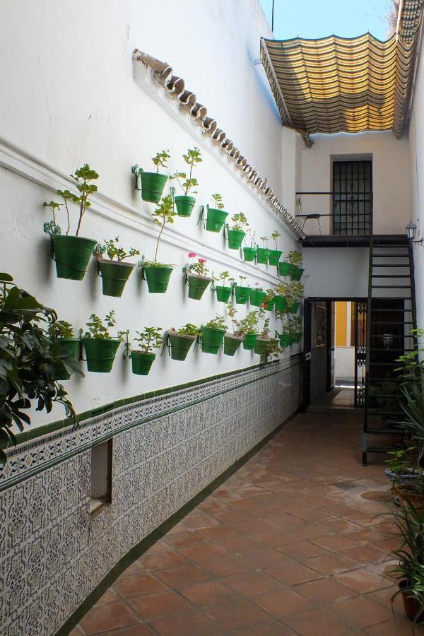 El Patio De Santiago Córdoba Exterior foto